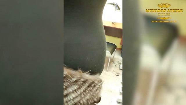 ? Переделка 25-летней шубы из чернобуры на новую модель. ?Перешив шубы. Mexatele. Меховое Ателье. смотреть онлайн