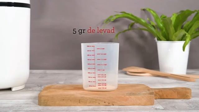 Como hacer pan de aceitunas en Moulinex OW2101Pain Doré смотреть онлайн