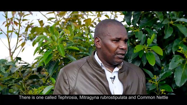 Meet Africa's Organic Farmer – Majoro Emmanuel from Rwanda #FarmersOfAfrica #KHEA смотреть онлайн