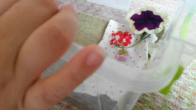 Подсказки и Советы