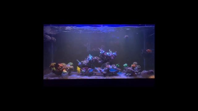 Quick snippet of the 40 смотреть онлайн