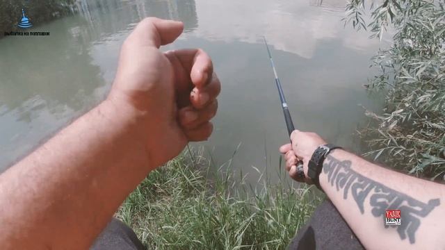 ?ЛОВЛЯ НА ПОПЛАВОК УКЛЕЙКИ ✅КОПТИМ УКЛЕКУ В АМЕРИКАНСКОЙ КОПТИЛКИ✅РЫБАЛКА В УДОВОЛЬСТВИЕ смотреть онлайн