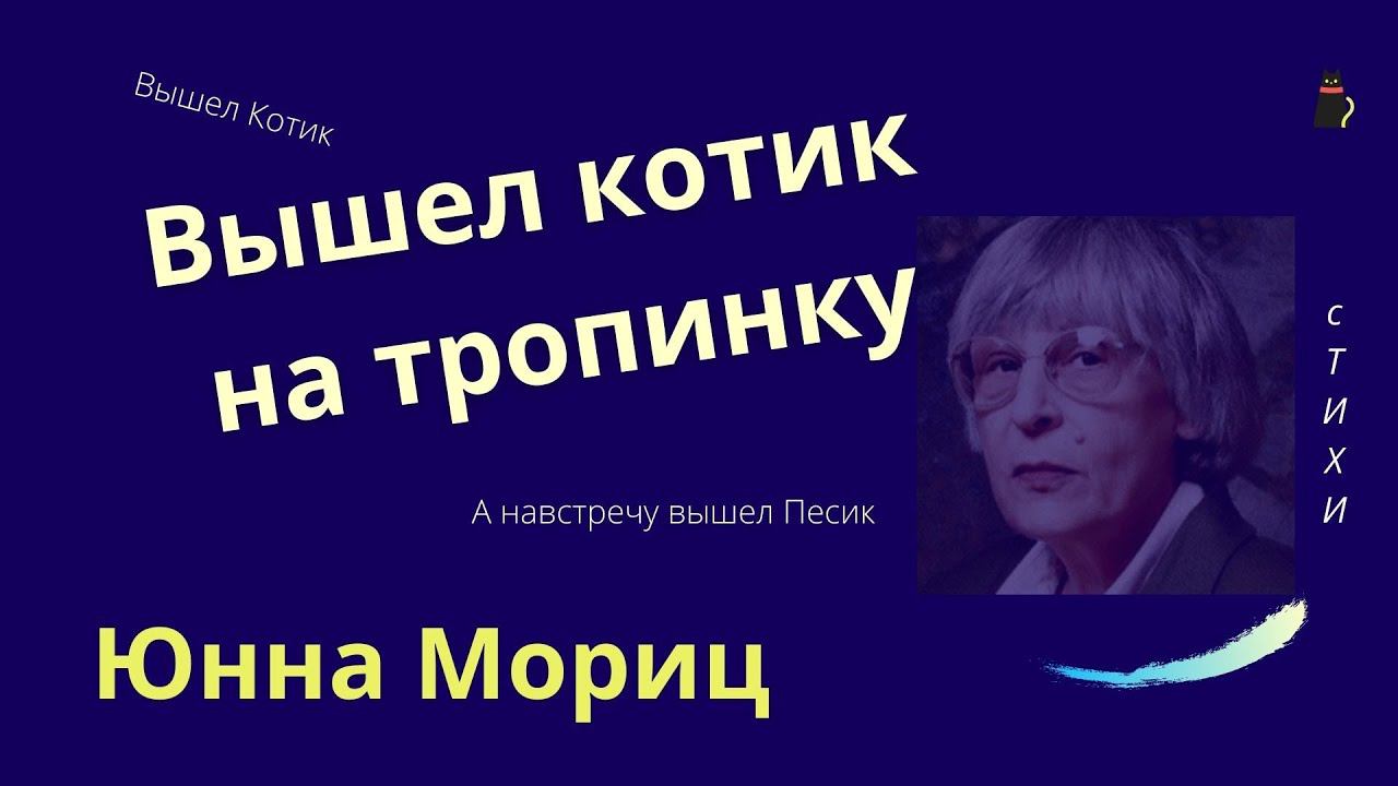 Вышел котик на тропинку. Мориц Юнна смотреть онлайн