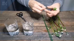 Как сохранить одуванчики