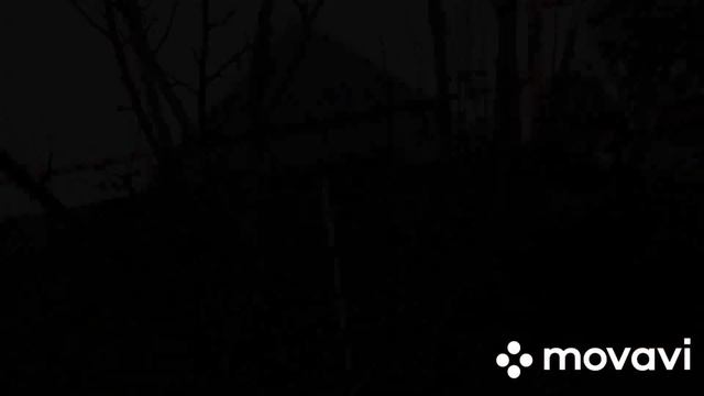 Наш САД 14 марта 2020🌿Спасаю грушу🌿Обрезаю плодовые. смотреть онлайн
