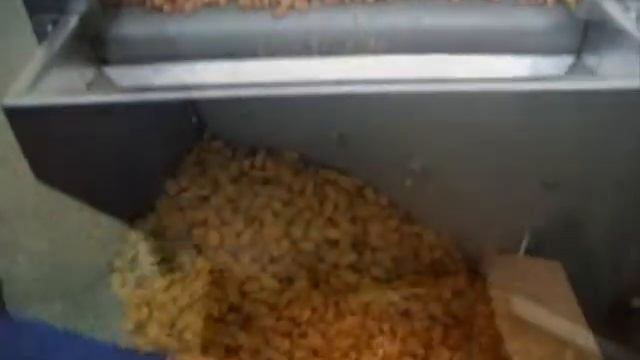 Жарка и солка семeчек и все видов орехов CS 2500 KF смотреть онлайн