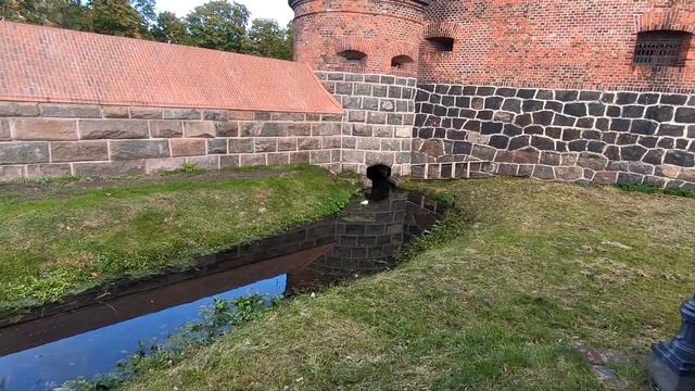 КУДА СХОДИТЬ В КАЛИНИНГРАДЕ / МУЗЕЙ ЯНТАРЯ смотреть онлайн
