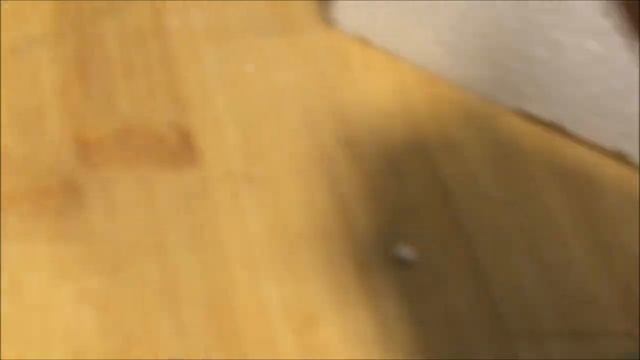 Размножение бегоний листовыми черенками в воде от и до смотреть онлайн