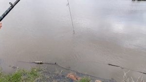 СТОЛЬКО РЫБЫ ЗА ОДИН РАЗ?! //ЛОВЛЯ на КОСЫНКИ//РЫБАЛКА на ПРУДУ