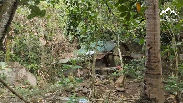 (PROPERTY#27) SOLD ❗PHP 127 PER SQM ONLY FARM FOR SALE WITH VIEW OF LAGUNA DE BAY❗ смотреть онлайн