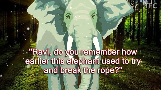 Important Story of an Elephant called 'Prince' | Transformational | Motivational Short Story Englis смотреть онлайн