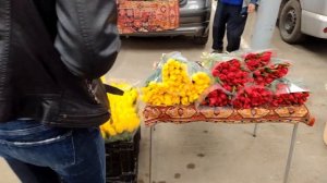 Бизнес на 8 марта. Продажа тюльпанов. Закупка тюльпанов на оптовом рынке города Краснодара.