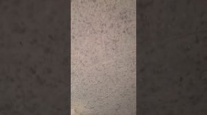 жидкие обои и световые линии на потолок из ГКЛ