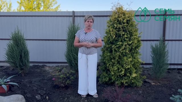 Скорая помощь для растений! Не пропускаем эту обработку смотреть онлайн