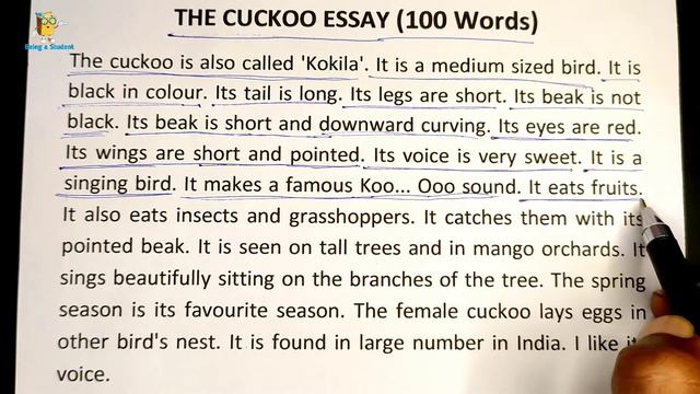 The Cuckoo essay in English || Koyal par English essay смотреть онлайн