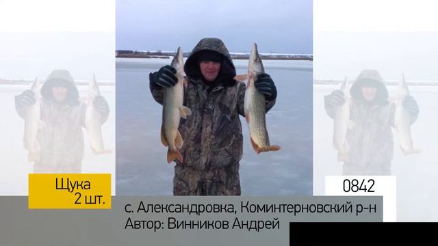 Фотоальбом - Рыбалка №168 смотреть онлайн