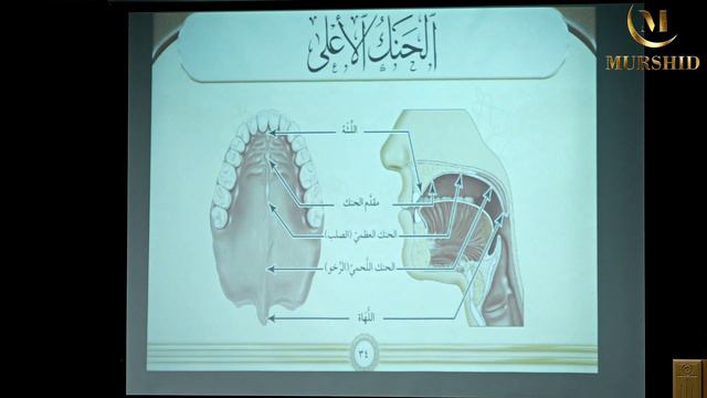 5 урок. Курс шейха Аймана Сувейда для преподавателей Корана по книге "Иллюстрированный таджвид". смотреть онлайн