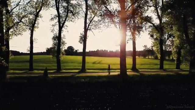 VLNY-Зеленоглазое такси смотреть онлайн