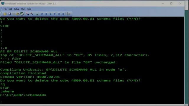 UniData Schema 4.0 vs 6.0 version смотреть онлайн