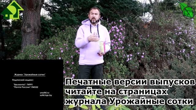 УДОБРЕНИЕ ЕЩЕ ЛУЧШЕ СКОРЛУПЫ. Ракушки для почвы и растений: плюсы и минусы необычного удобрения. смотреть онлайн