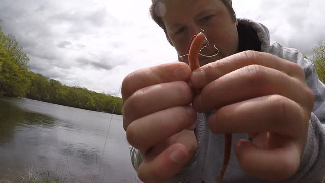 Texas Rig Fishing With Gulp Nightcrawlers смотреть онлайн