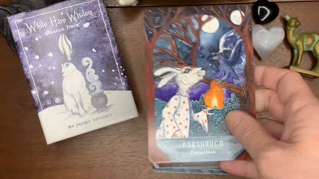 White Hare Wisdom Oracle ~ Indie Deck Walkthrough смотреть онлайн