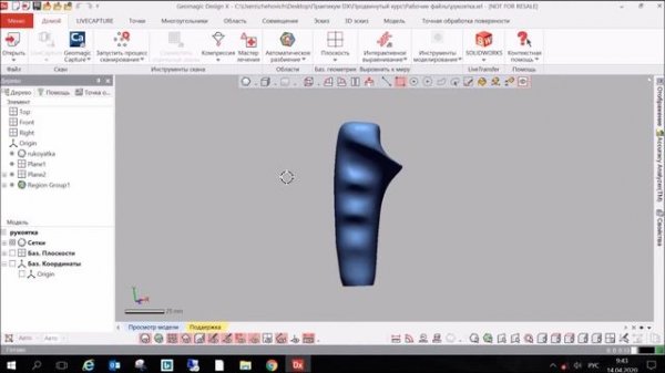 Расширенный курс Geomagic Design X. Моделирование биологических форм