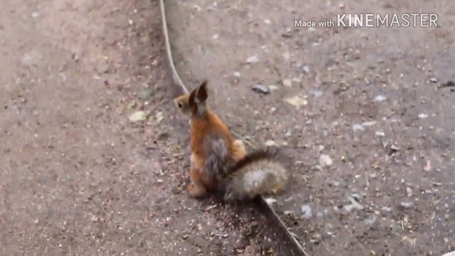 Как я фоткаюсь в инстаграм!!!!! Что-то пошло не так!!!!!!! смотреть онлайн