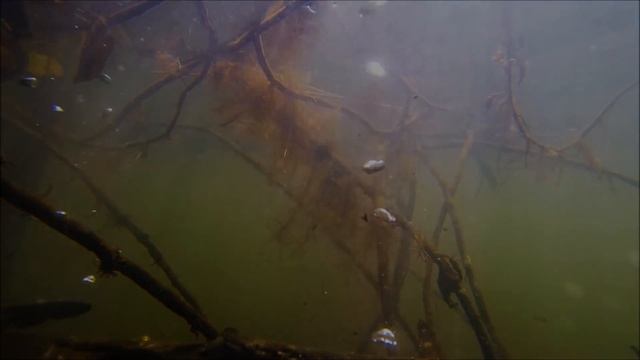 Озеро Мабпрачан смотреть онлайн