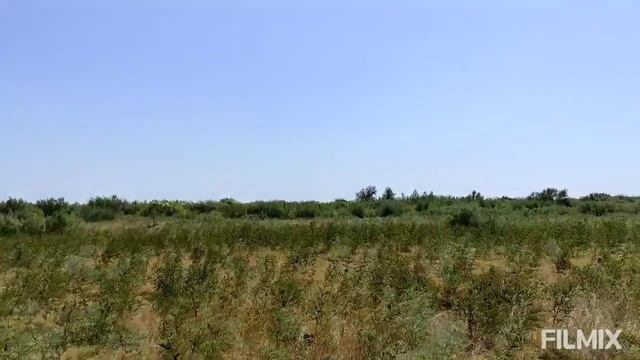 Н С Гумилев Детство смотреть онлайн