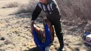 Как складывать палатку «Восьмерка»