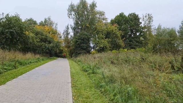 Шаговая тренировка в осеннем парке??? смотреть онлайн