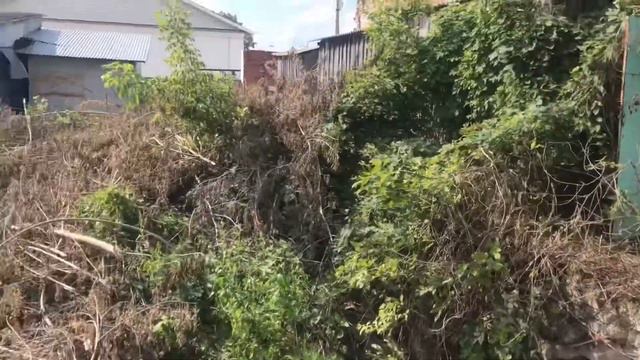 Зарайск смотреть онлайн