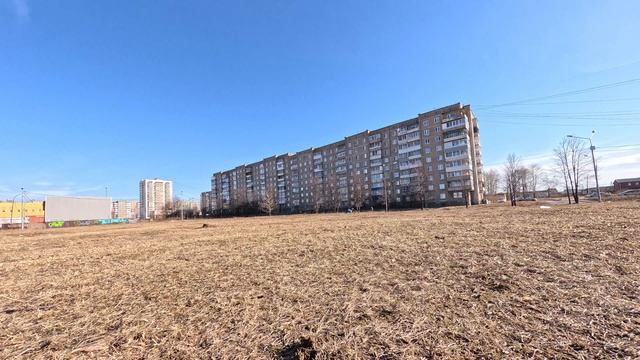 Солнечное утро в парке смотреть онлайн