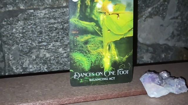 Evening walk in the Park P.O.V Oracle Card Draw Interpret•Learn•Discern смотреть онлайн