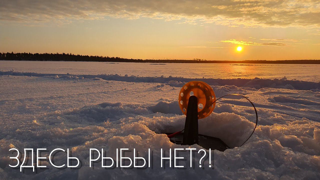 ЩУКА ГУРМАН #рыбалка #щука #спининг #fishing #pike #pikefishing