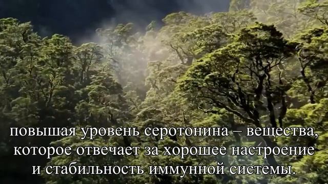 Дружба, деньги и прямая спина Что еще нужно для счастья — Статья смотреть онлайн