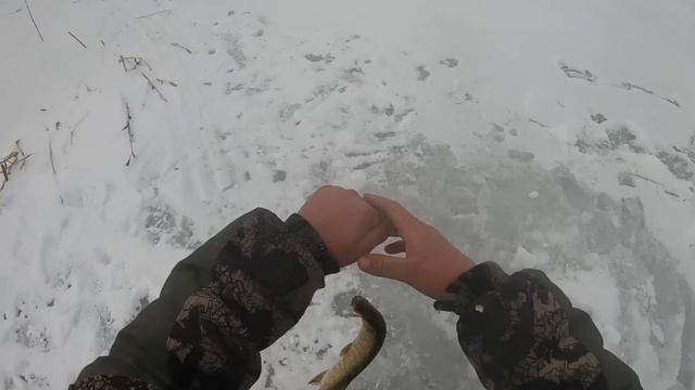 Столько щуки я ещё не ловил! Рыбалка на огромном озере! Лёд 2022-2023. Рыбалка на жерлицы. смотреть онлайн