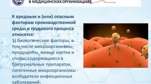 ПРАВИЛА ПО ОХРАНЕ ТРУДА В МЕДИЦИНСКИХ ОРГАНИЗАЦИЯХ