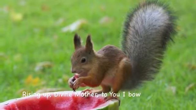 Adi Shakti ♔ Snatam Kaur YouTube смотреть онлайн