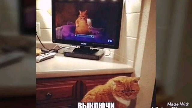 Прикольные фото и монтаж!!! #2 смотреть онлайн