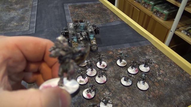 TBMC - Showcase - New Wulfen! Max's Brush on FIre смотреть онлайн