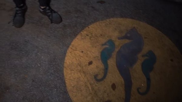 We explored the abandoned SEA WORLD aquarium in Scotland | Closed since 2018