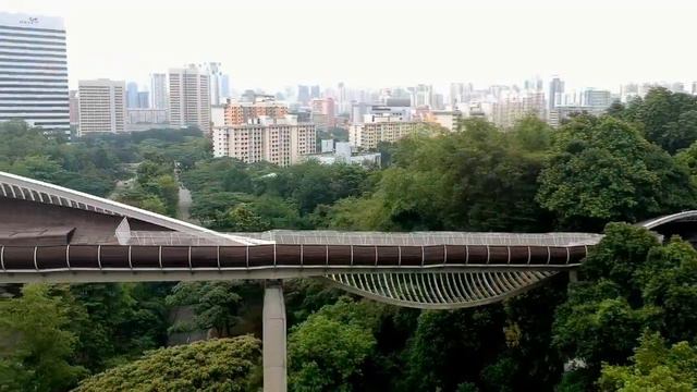 DRONE - Henderson Waves Singapore