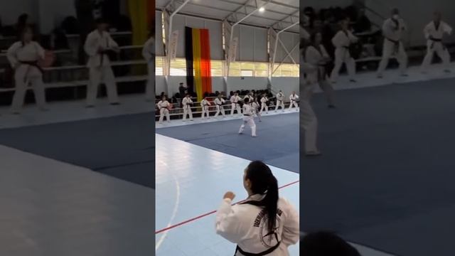 Grand Master Kang's TaeKwonDo Seminar Chile 2022 - TaeKwonDo Místico WTTU Chile смотреть онлайн
