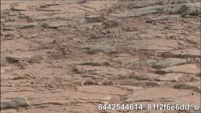 Curiosity 2015 • 480 • 12