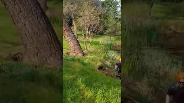 Катапульта из дерева смотреть онлайн