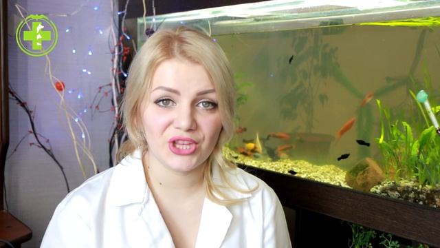 Почему Котенок Постоянно Мяукает и Пищит: Причины и Советы // Сеть Ветклиник Био-Вет смотреть онлайн