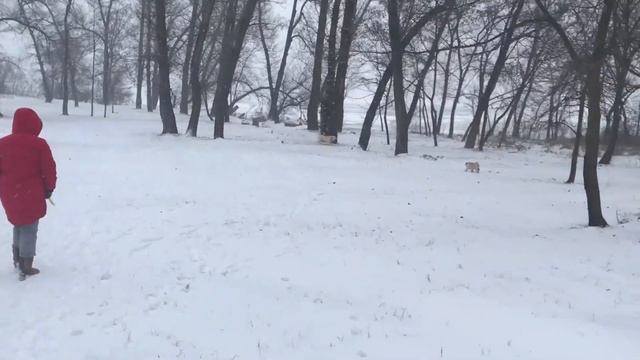 ВЛОГ#173. Зима. Рождество. Снег смотреть онлайн