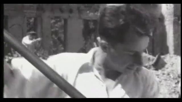 Янтарь  История и настоящее